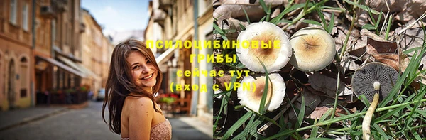 ECSTASY Алексеевка