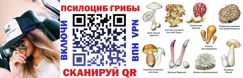 Галлюциногенные грибы мицелий  Межгорье 
